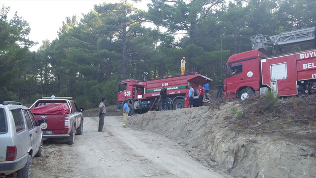 Adana'da orman yangını