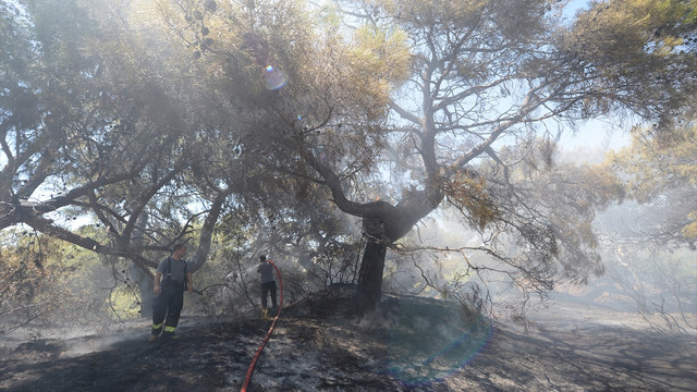 Antalya'da orman yangını