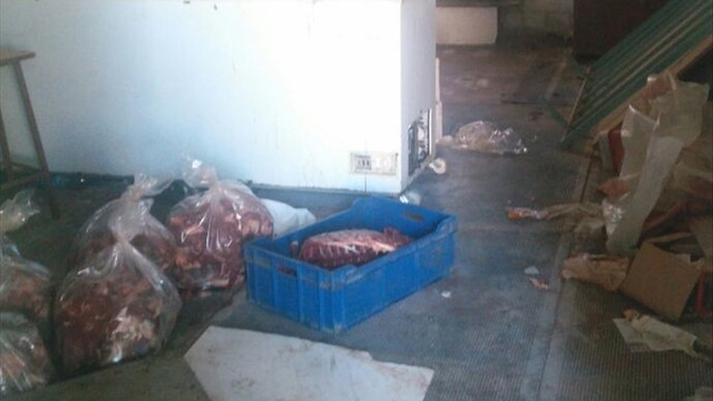 Aydın'da kaçak domuz eti operasyonu