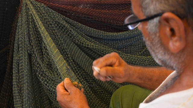 Balıkçılar palamutta bolluk hamside düşüş bekliyor