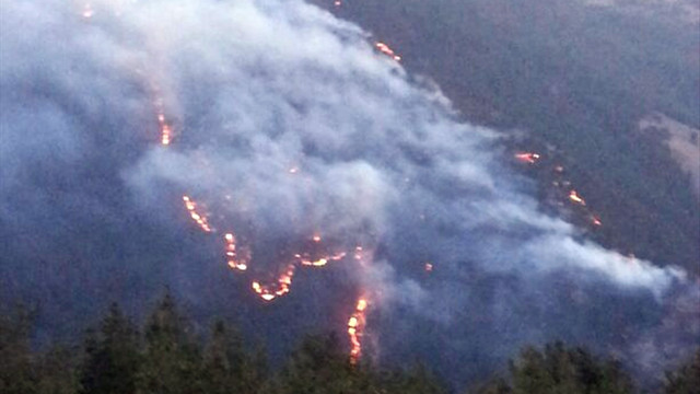 Balıkesir'de orman yangını