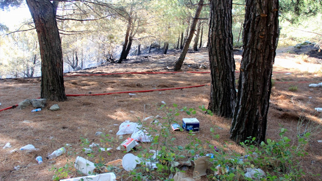 Balıkesir'deki orman yangını