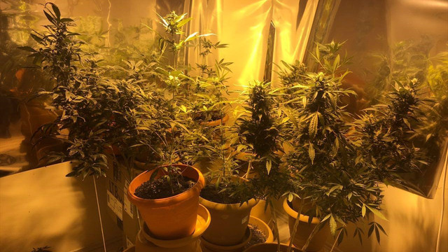 Bartın'da uyuşturucu operasyonu