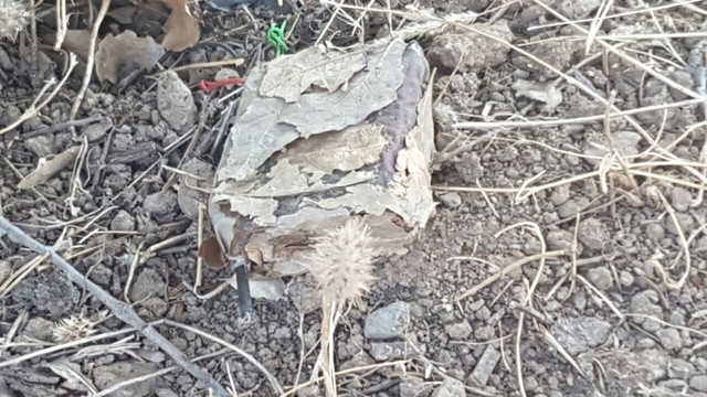 Batman'da terör operasyonu