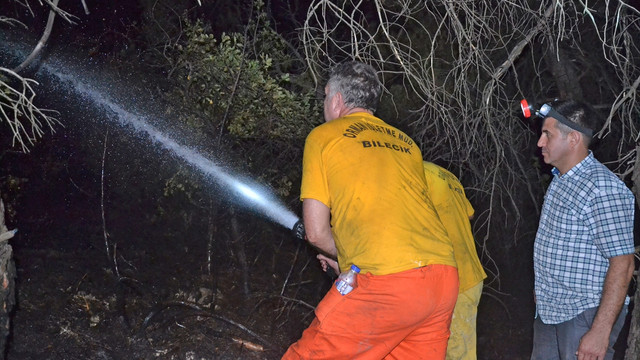 Bilecik'te orman yangını