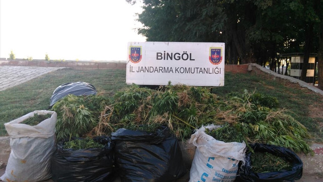 Bingöl'de uyuşturucu operasyonu