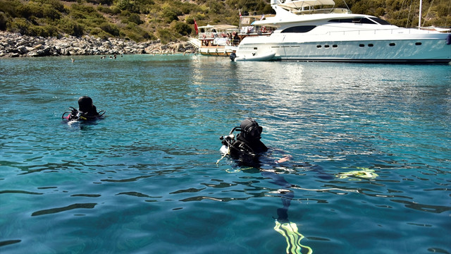 Bodrum'da deniz kaplumbağaları incelemeye alındı