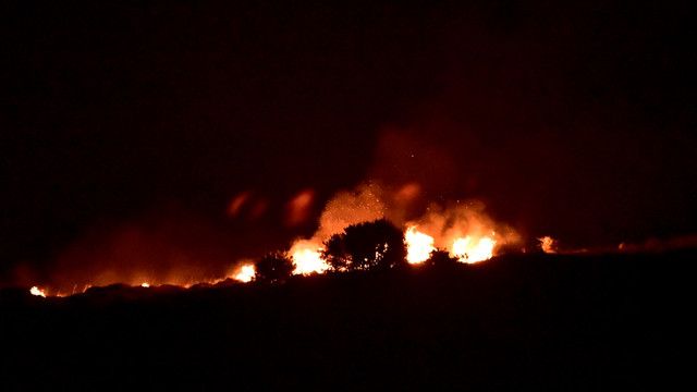 Bodrum'da makilik yangını