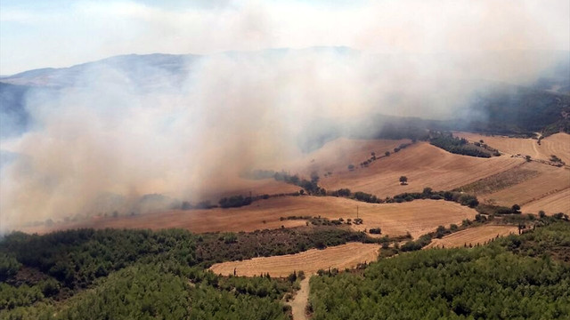 Çanakkalede orman yangını çıktı!