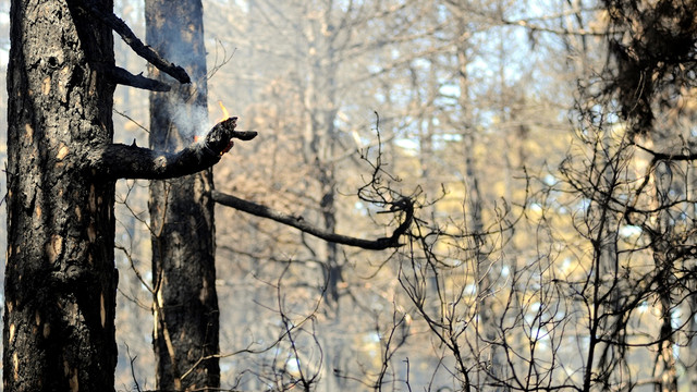 Çanakkalede meydana gelen yangın kontrol altına alındı