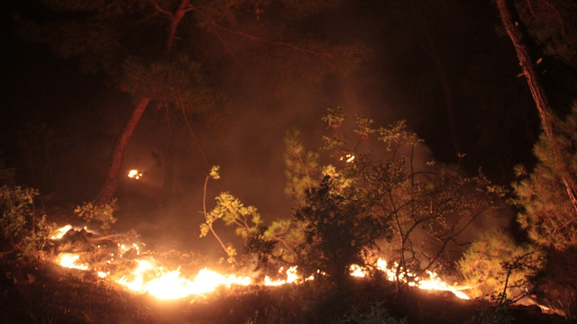 Çorum'daki orman yangını