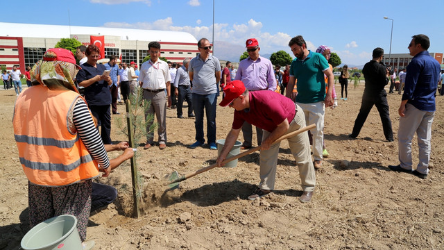 Her şehit için bir fidan diktiler