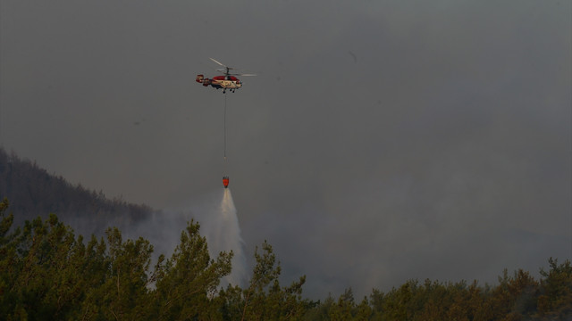 İzmir'deki orman yangını