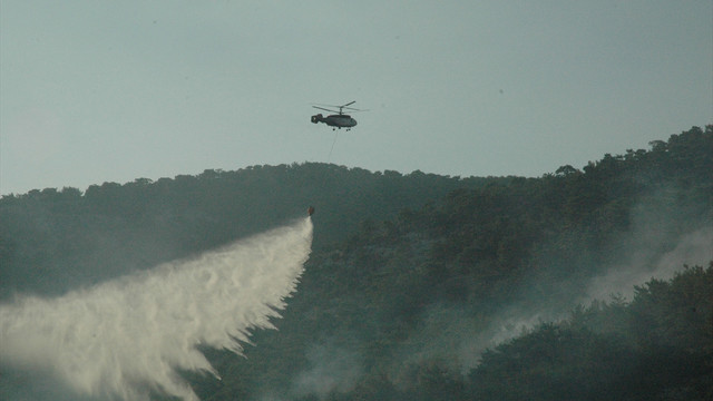 GÜNCELLEME - İzmir'deki orman yangını
