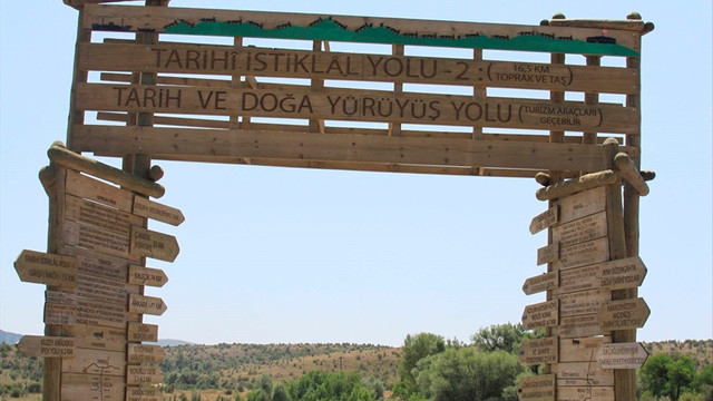 Karınca ordusu 15 Temmuz'da yeniden ortaya çıktı