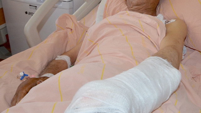 Kars'ta ayı saldırısı