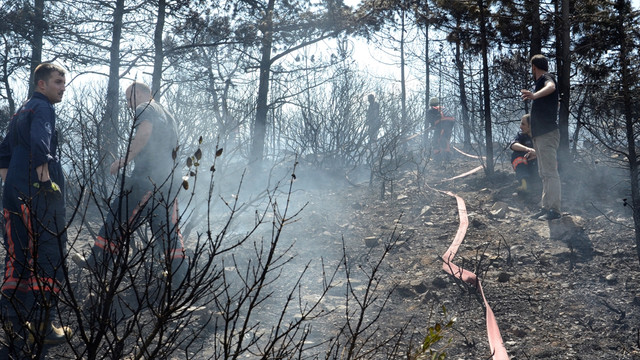 Kartal'da orman yangını