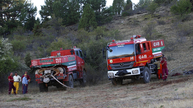 Konya'da orman yangını
