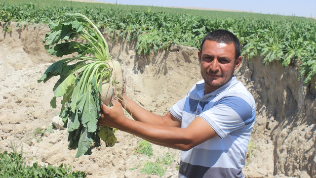 Konya'da yeni obruk oluştu