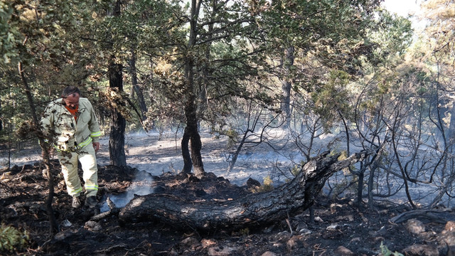 Kütahya'da orman yangını