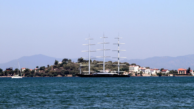 Malta Şahini Fethiye'de