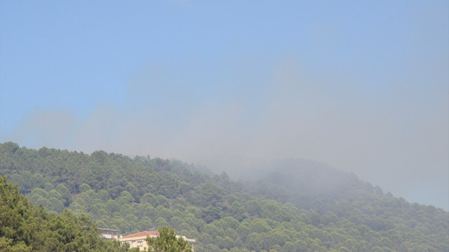 Maltepe'de orman yangını