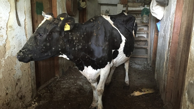 Manisa'da karantina uygulaması