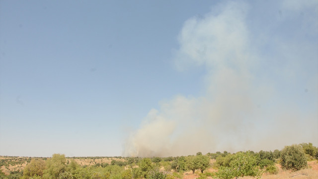 GÜNCELLEME - Mardin'de yola döşenmiş patlayıcı imha edildi