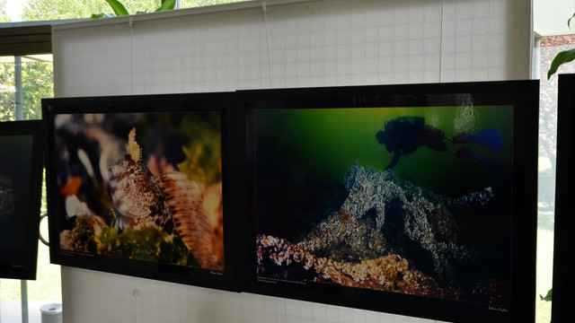 Marmara Depremi'nin 17. yılı