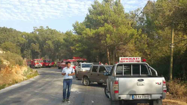 Muğla’da orman yangını