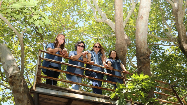 Ormanın hanım elleri