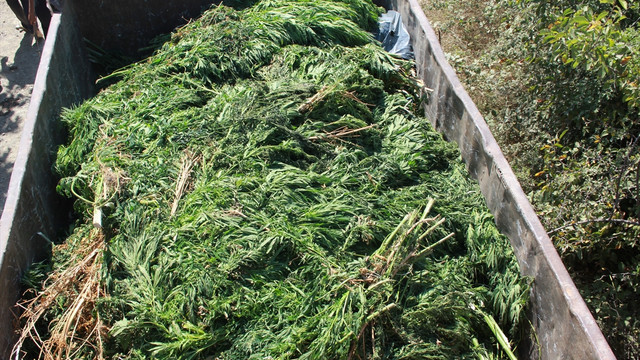 Samsun'da uyuşturucu operasyonu