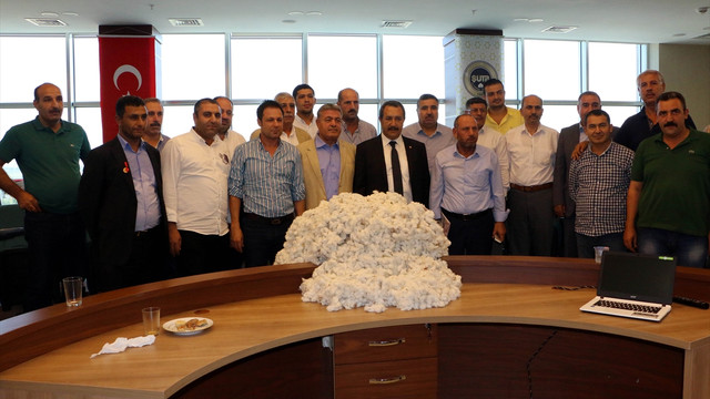 Şanlıurfa'da yılın ilk pamuğu satıldı