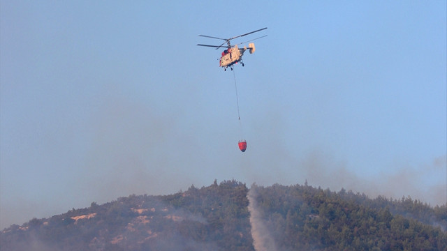 Seferihisar'daki orman yangını