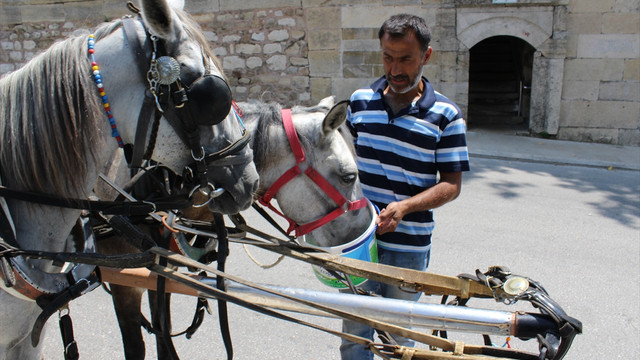 Sıcak havalarda hayvanların su ihtiyacı artıyor