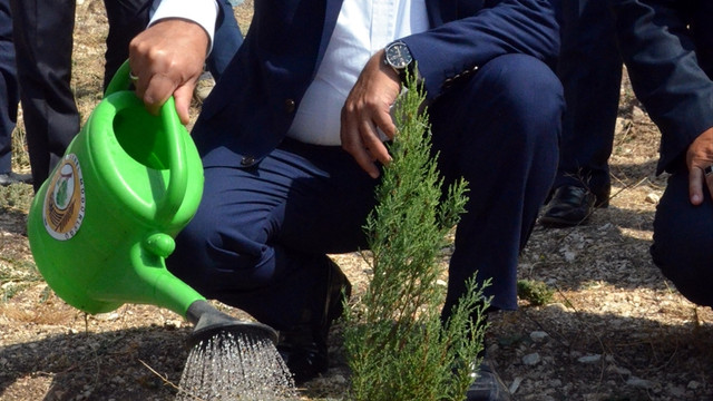 TİM Başkanı Büyükekşi, fidan dikim törenine katıldı