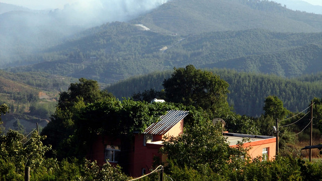 Türkiye-Suriye sınırında orman yangını