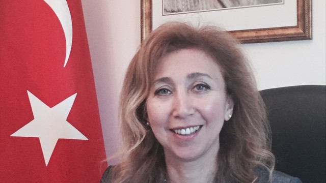 Türkiye'nin Dakar Büyükelçisi Arı: