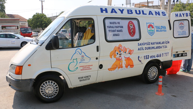 Yalova'da hayvan ambulansı haybulans hizmete girdi
