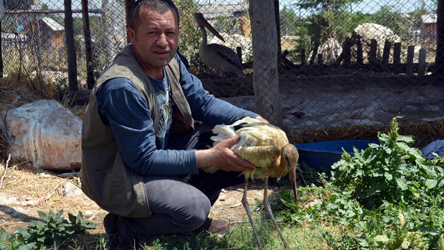 Yaralı leylek Burdur'da tedavi altına alındı