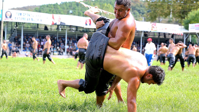 32. Söğütlü Kültür, Sanat, Spor, Tarım, Hayvancılık ve Süt Festivali