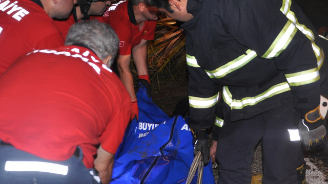 Adana'da araç ağaca çarptı:  1 ölü