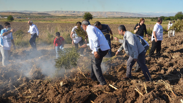 Anız yangınlarına karşı nöbet