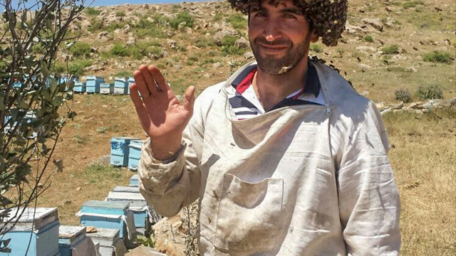 Arılarla Guinness'e girmek istiyor