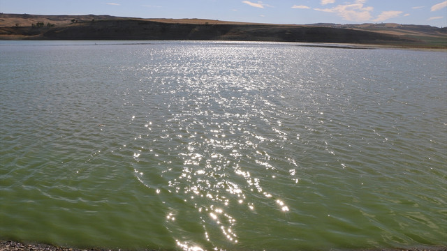 Atatürk Barajı'nda oksijen azalıyor