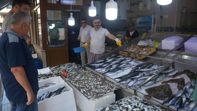 Avı bereketli geçen palamut, tezgahları süslemeye devam ediyor