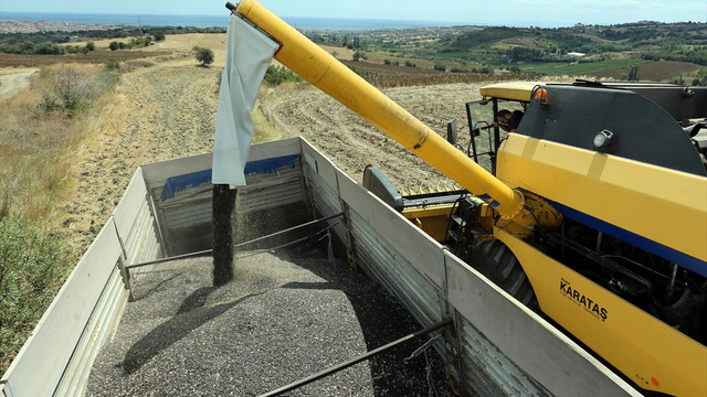 Ayçiçeğinde şampiyon Tekirdağ
