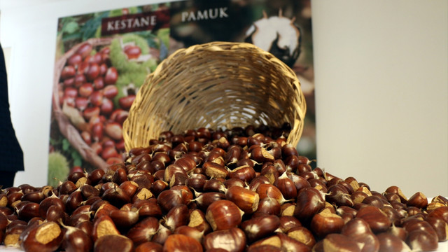 Aydın'da ilk kestane kilosu 25 liradan satıldı
