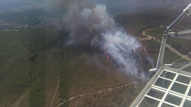 Aydın'da orman yangını