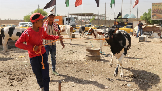 Bağdat'ta Kurban Bayramı'na doğru